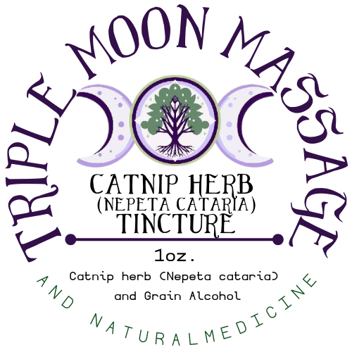Catnip Tincture (Nepeta cataria) – 1 oz