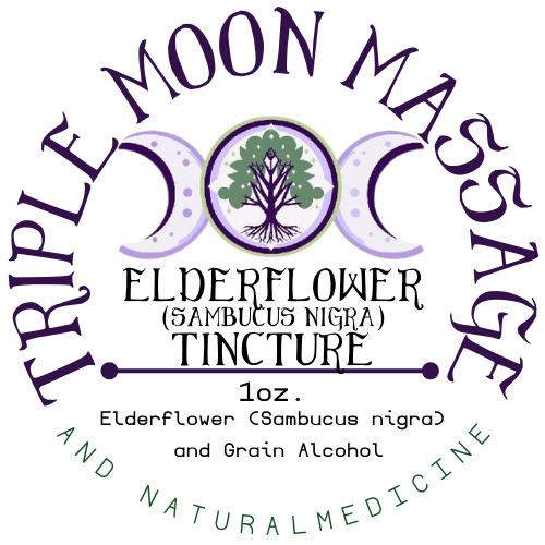 Elderflower Tincture (Sambucus nigra) – 1 oz