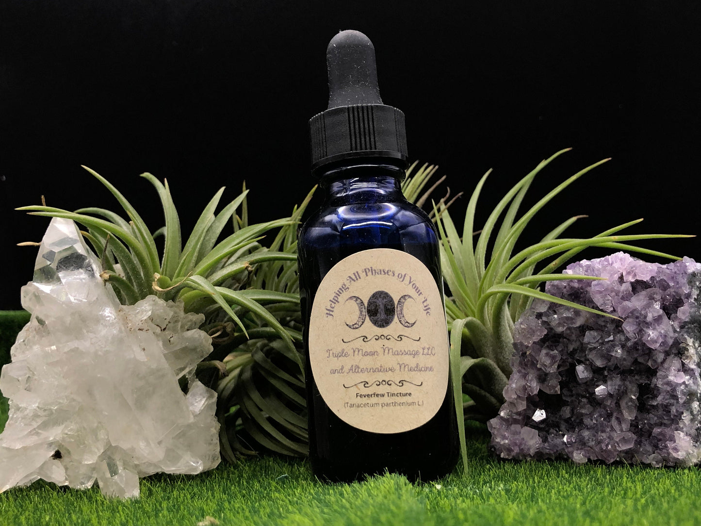 Feverfew (Tanacetum parthenium) (Xiao Bai Ju) Tincture 1oz - Triple Moon Massage LLC