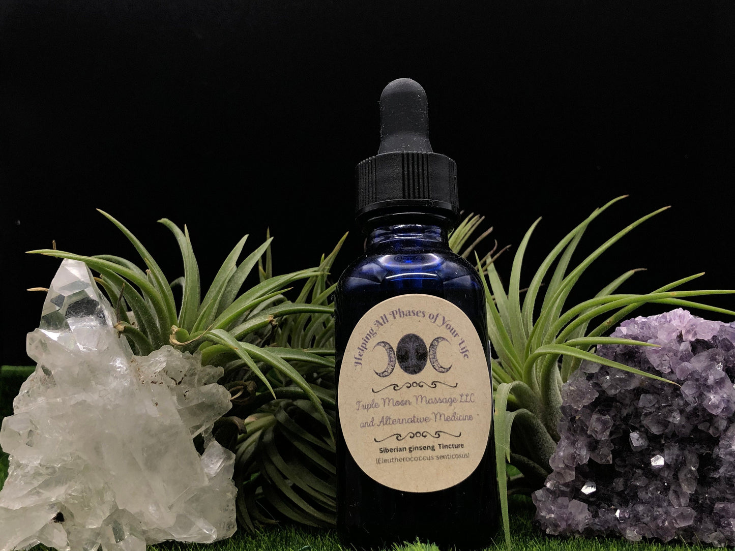 Siberian Ginseng (Eleutherococcus senticosus) ( Ci Wu Jia, Wu Jia Shen) Tincture 1 oz - Triple Moon Massage LLC