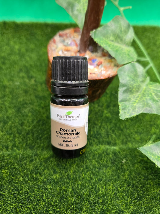 Roman Chamomile 5ml - In-Store Only