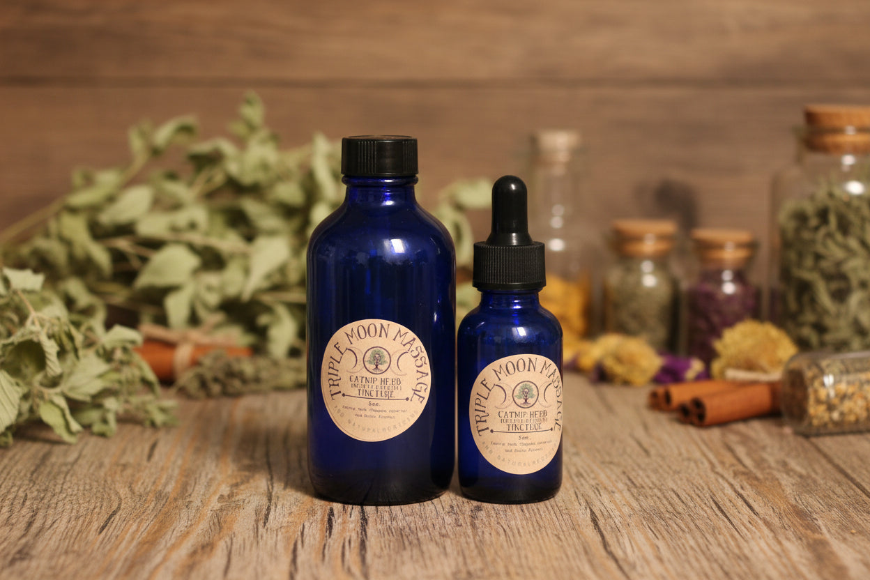 Catnip Tincture (Nepeta cataria) – 1 oz