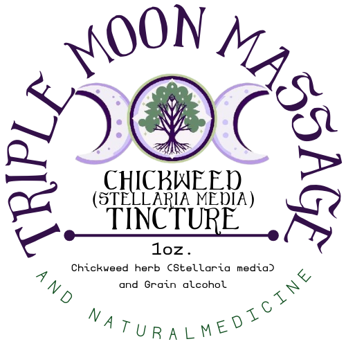 Chickweed Tincture (Stellaria media) – 1 oz