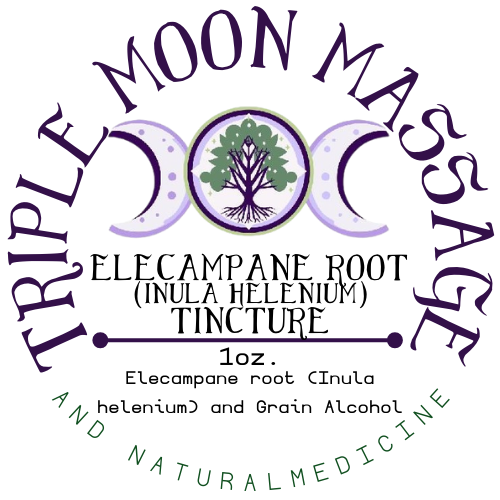 Elecampane Root Tincture 1 oz