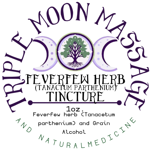 Feverfew (Tanacetum parthenium) (Xiao Bai Ju) Tincture 1oz